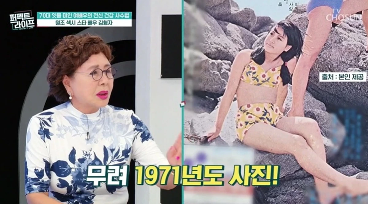 TV조선 '퍼펙트 라이프'