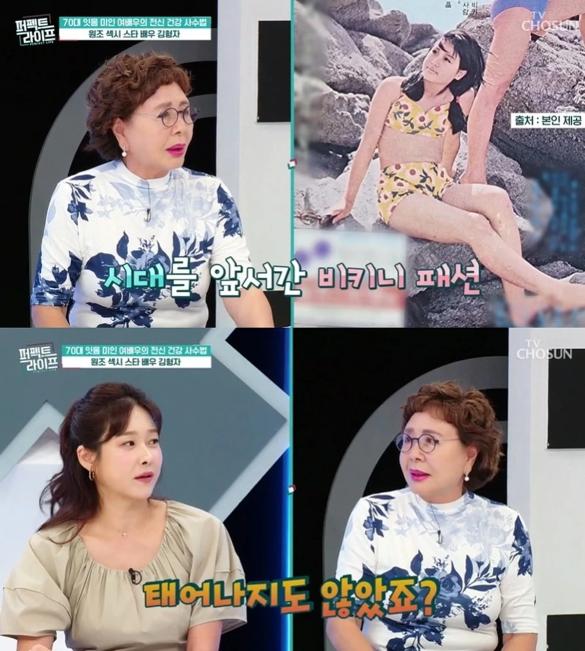 TV조선 '퍼펙트 라이프'