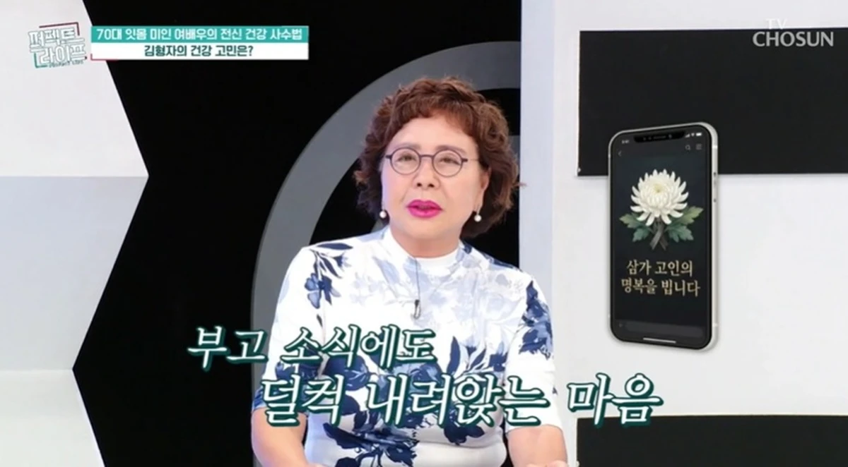 TV조선 '퍼펙트 라이프'