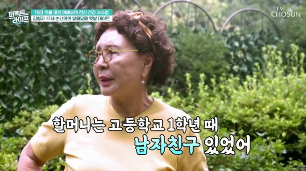 TV조선 '퍼펙트 라이프'