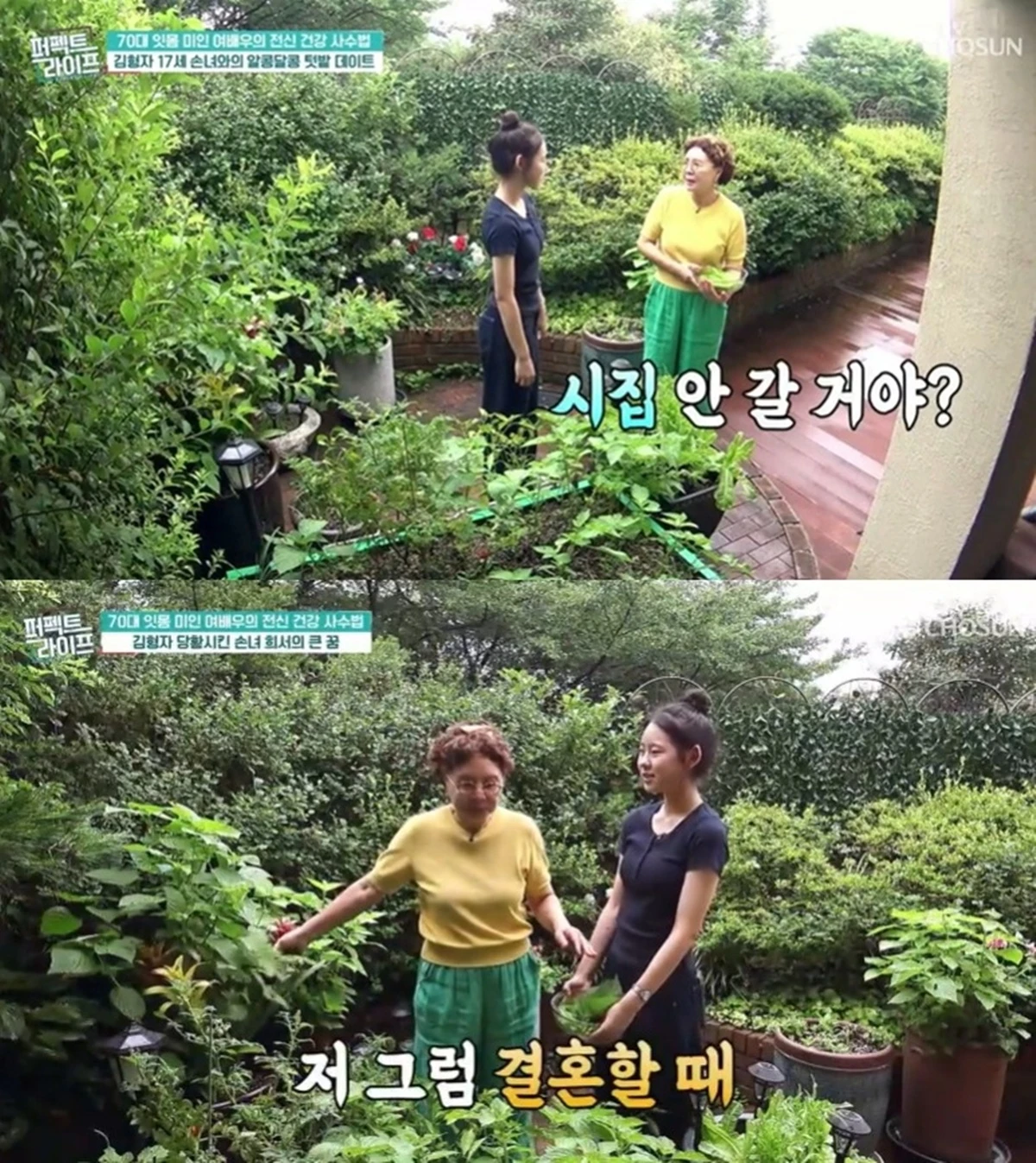 TV조선 '퍼펙트 라이프'