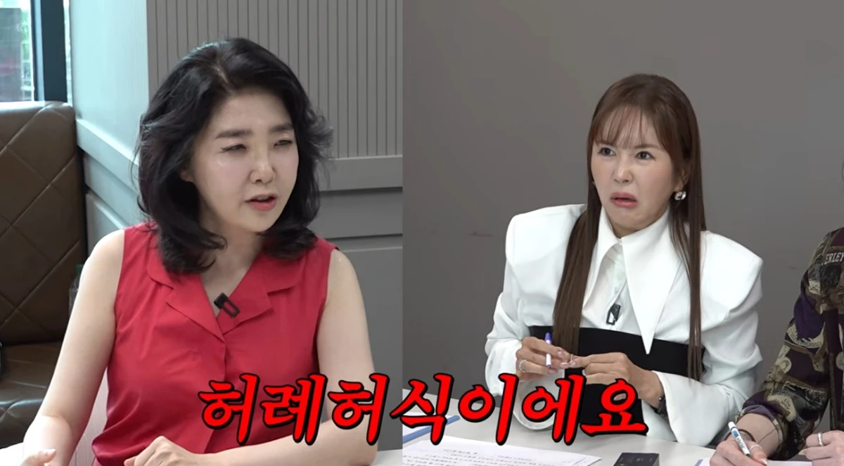 유튜브 채널 'A급 장영란'
