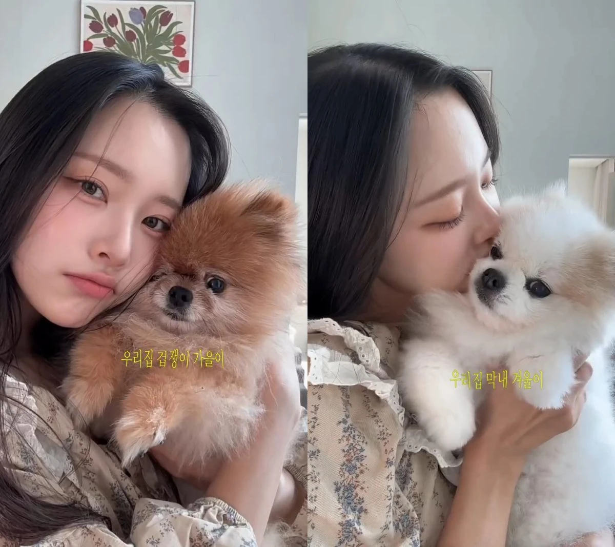 사진 = 이솔이 계정