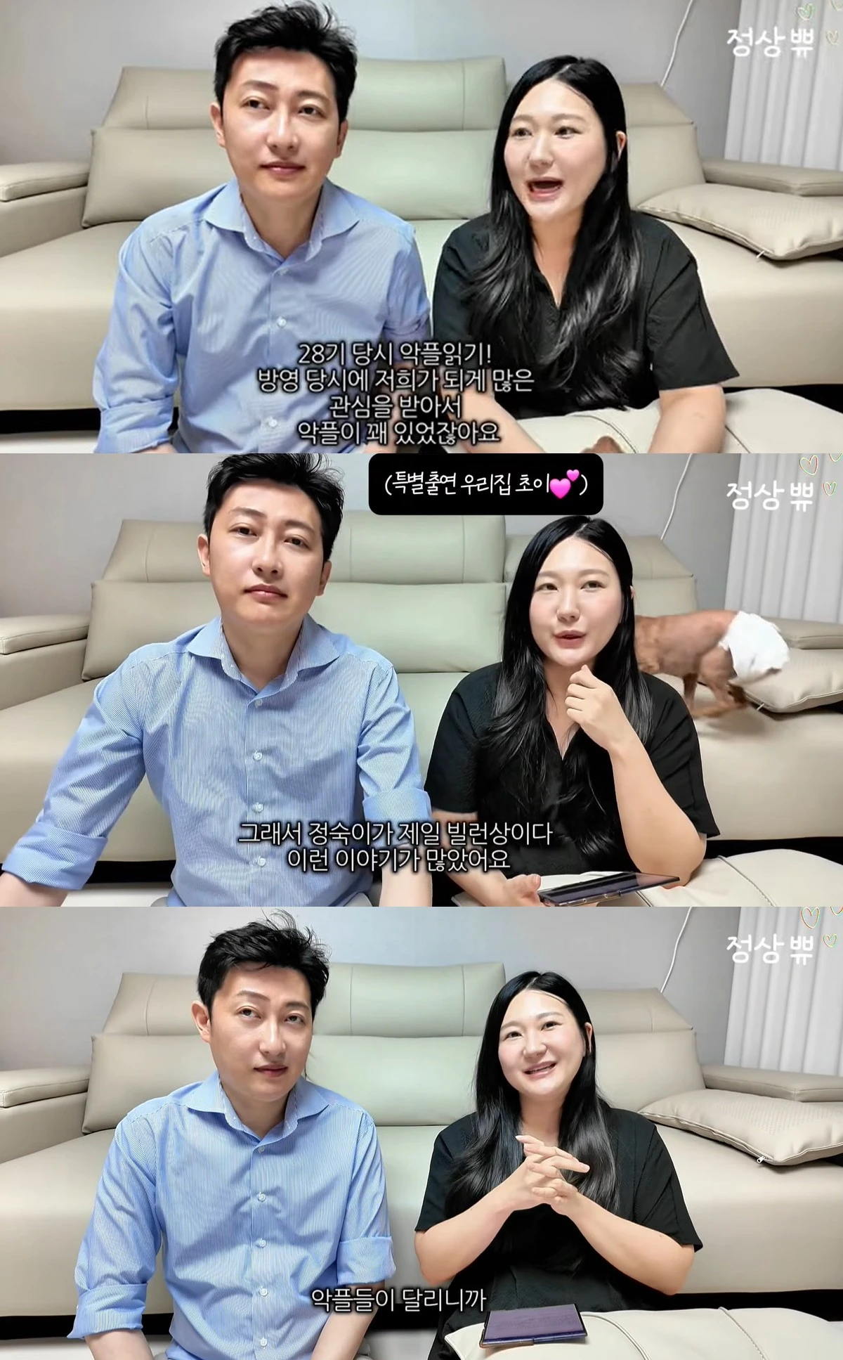 유튜브 '정상쀼'
