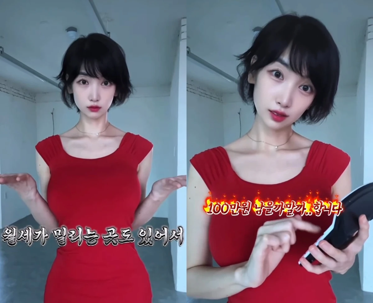 이해인