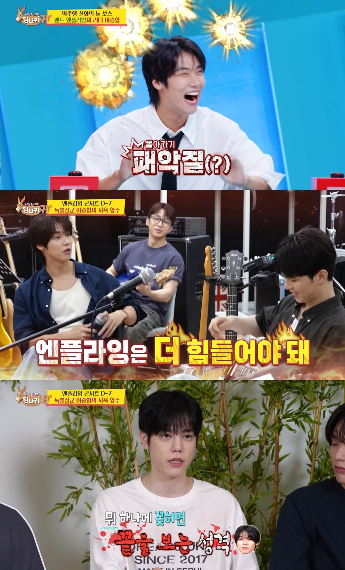 KBS 2TV '사당귀' 방송 화면