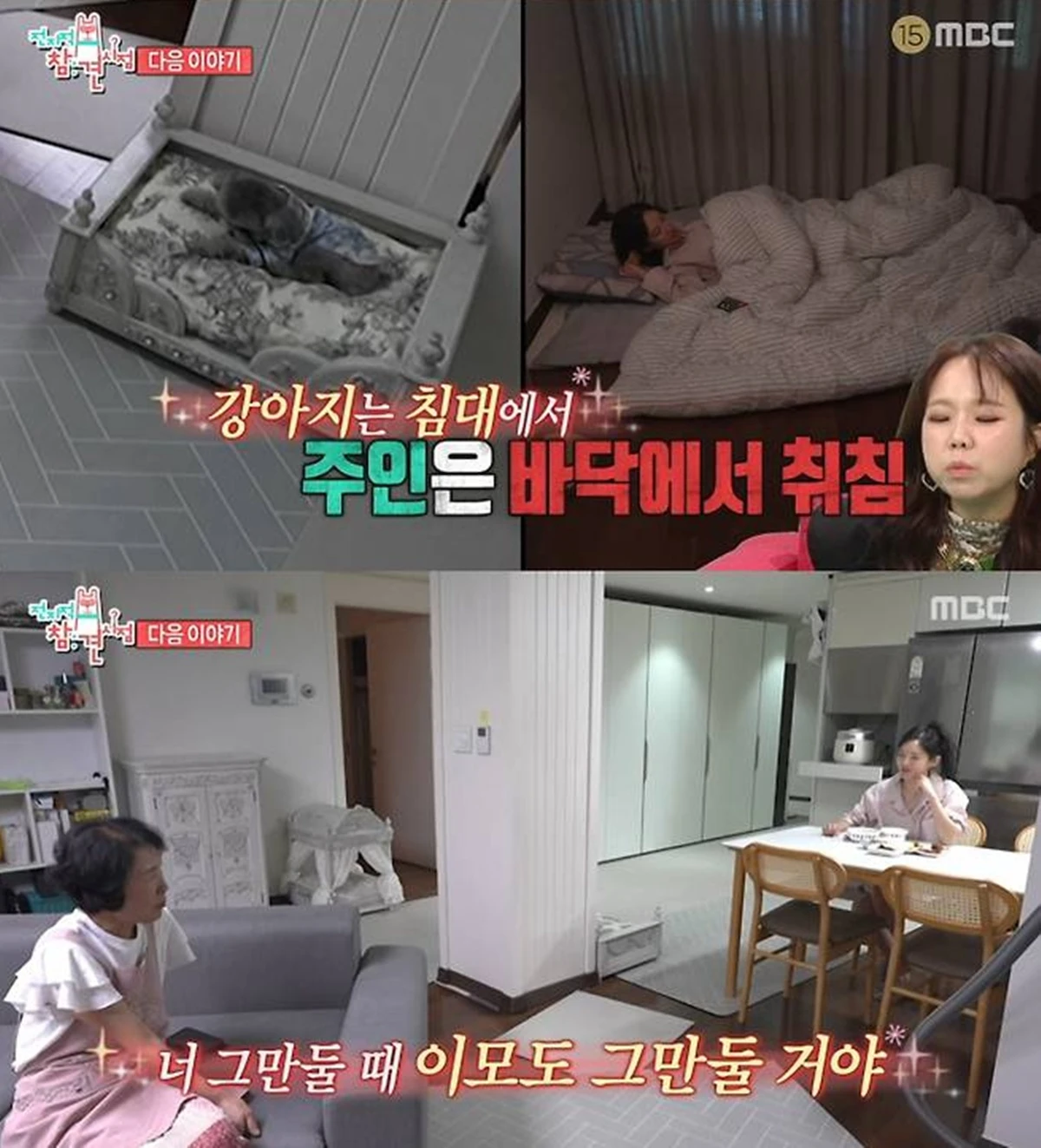 MBC '전지적 참견 시점'