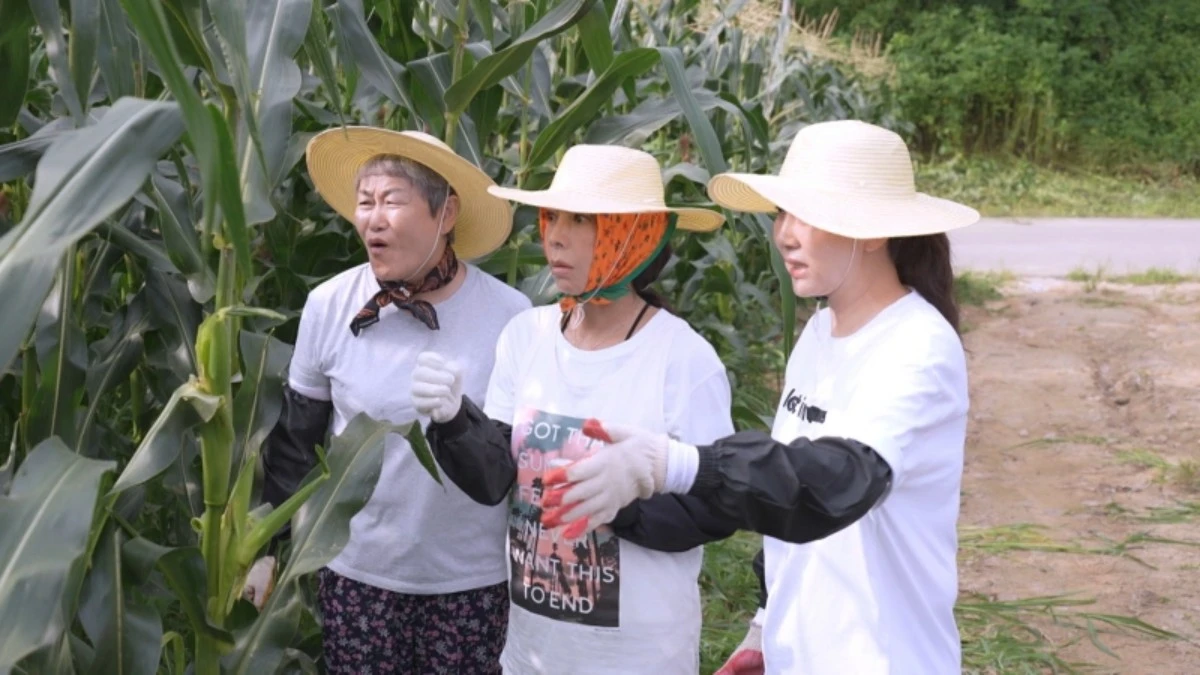 KBS 1TV '황신혜의 같이 삽시다'