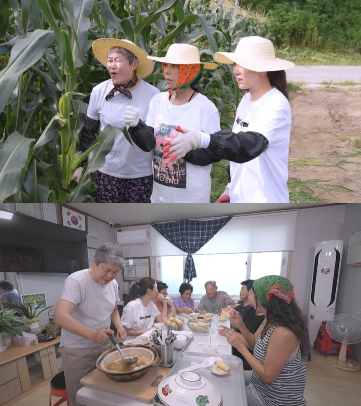 KBS 1TV '황신혜의 같이 삽시다'