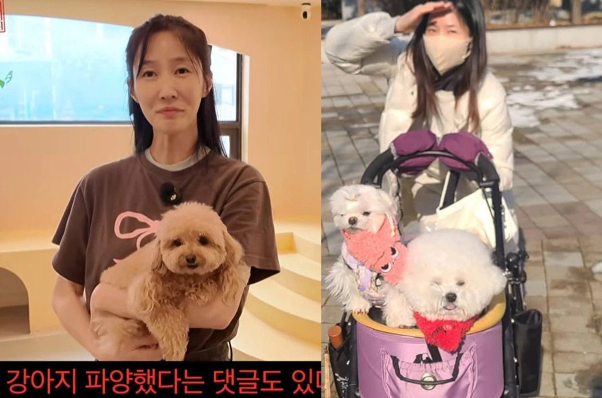 좌 = 이수경 유튜브, 우 = 이수경 계정