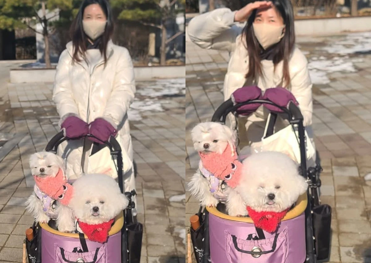 사진 = 이수경 계정