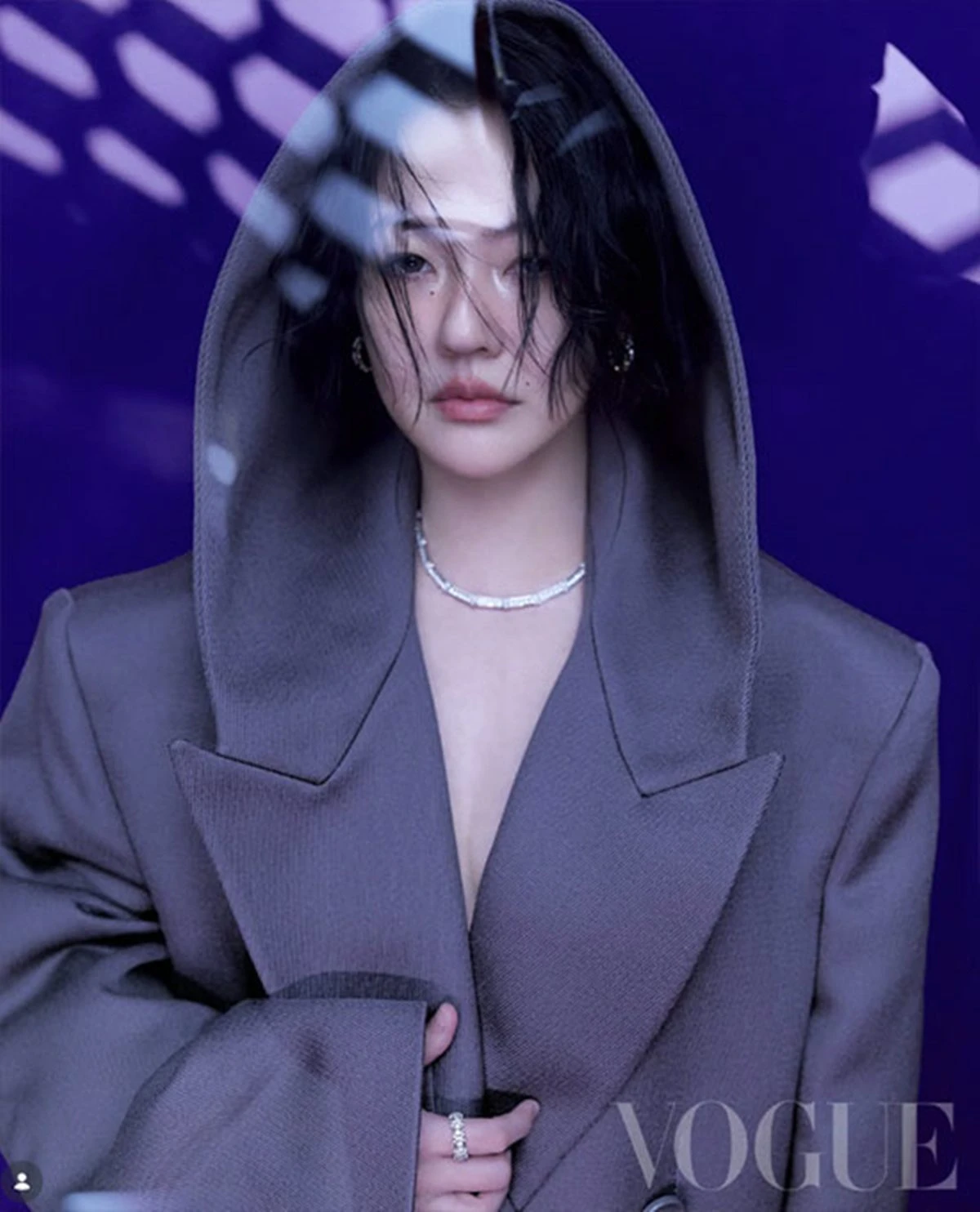 서희제