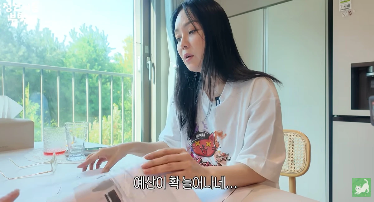 유튜브 '김정난'