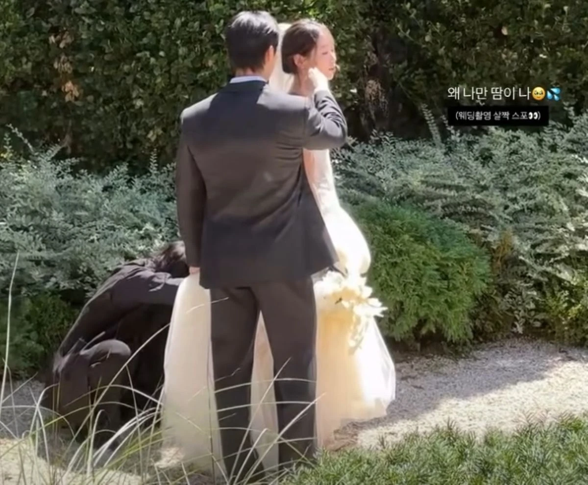 30기 옥순 계정
