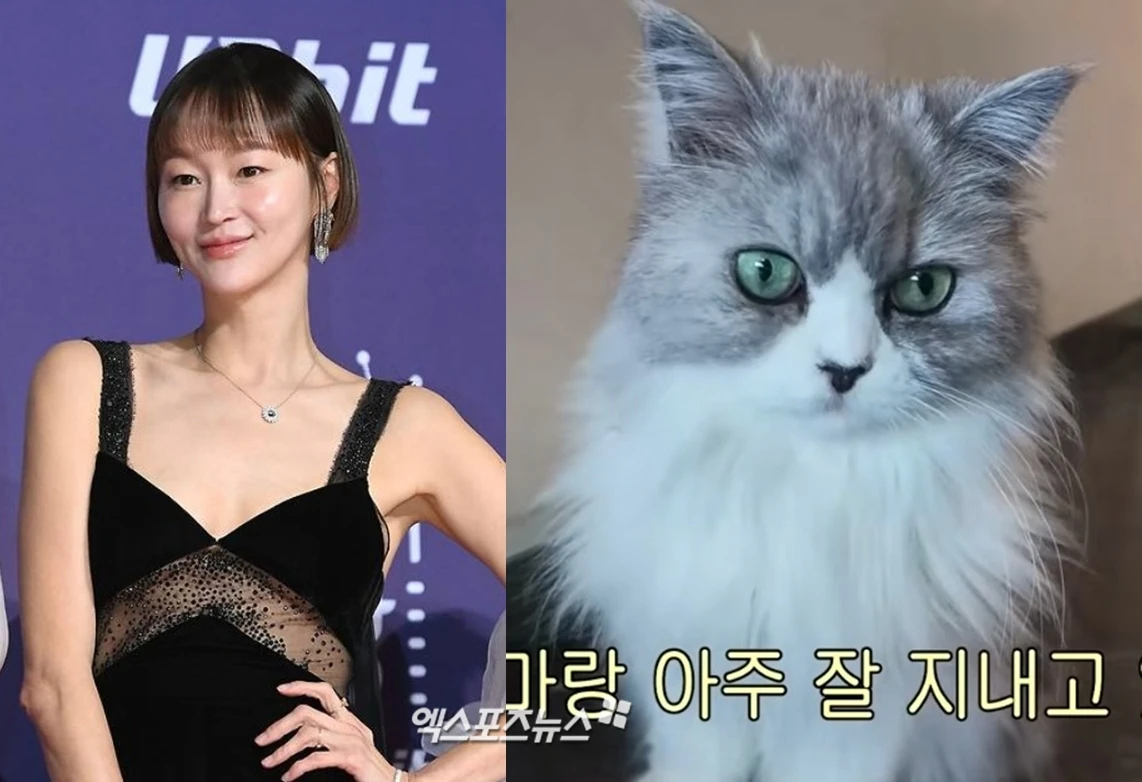모델 이혜정이 반려묘를 파양했다는 의혹에 대해 해명했다.