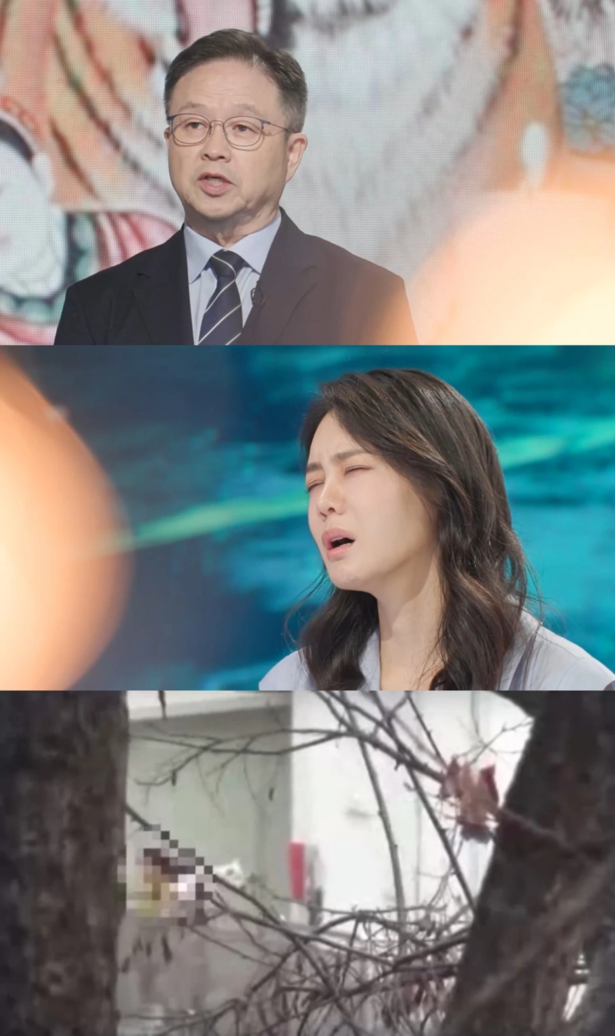 KBS 2TV '스모킹 건'