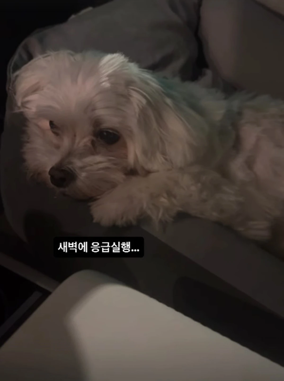박성광 SNS