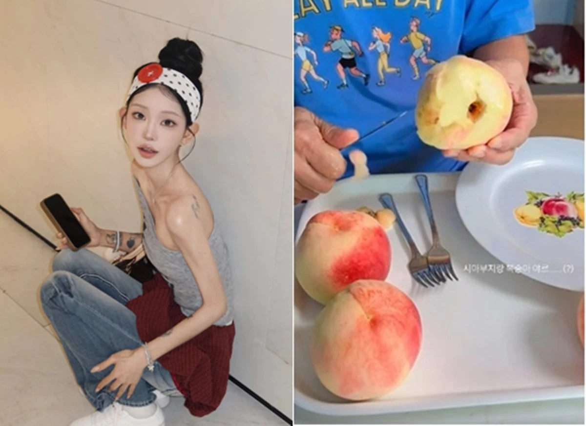 최준희
