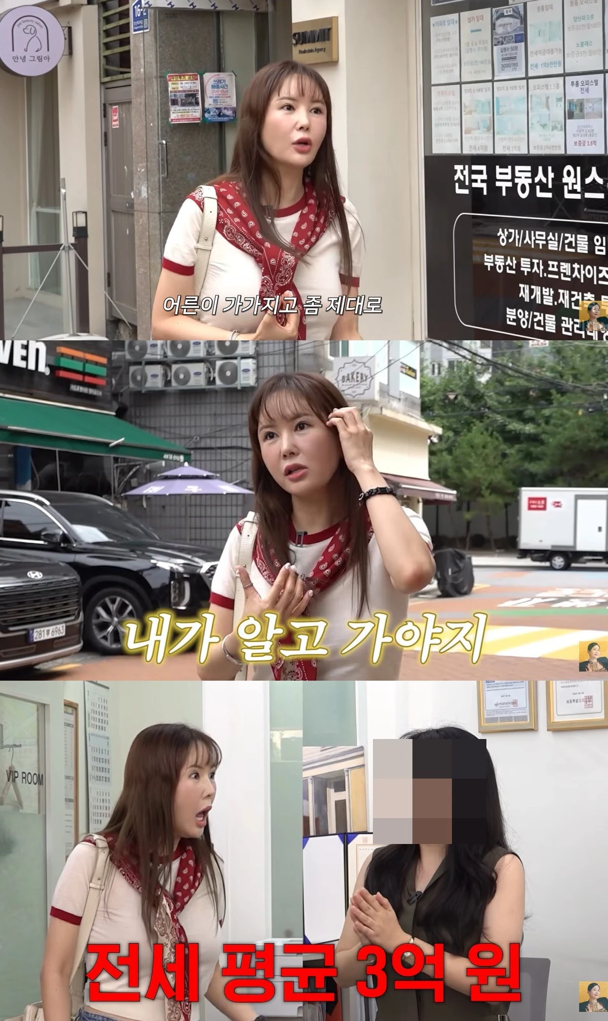 유튜브 'A급 장영란'