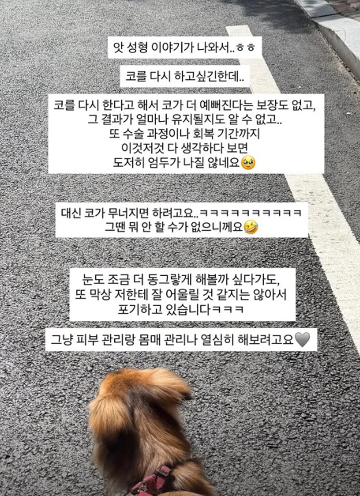 이다은