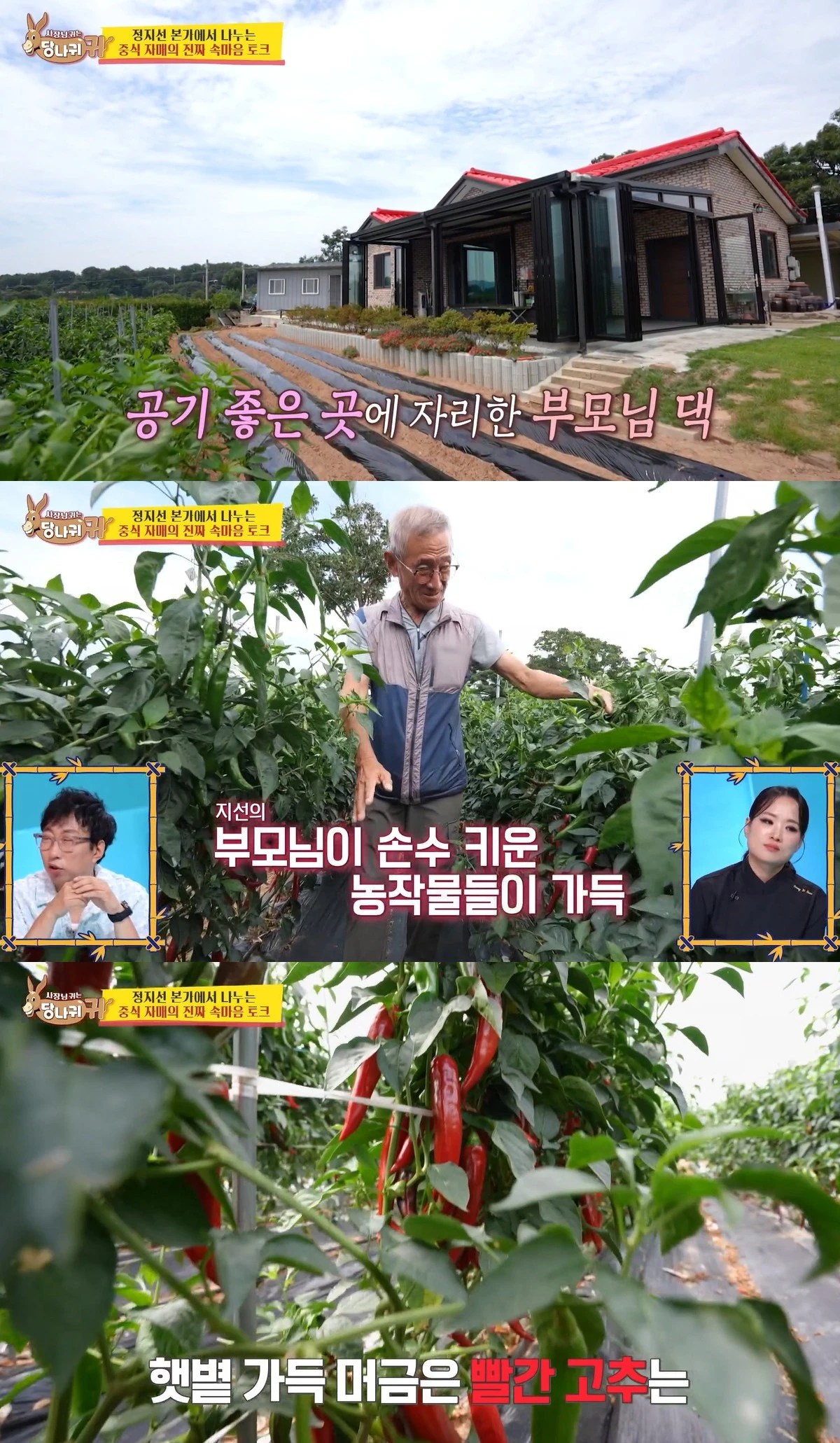 KBS 2TV '사장님 귀는 당나귀 귀'