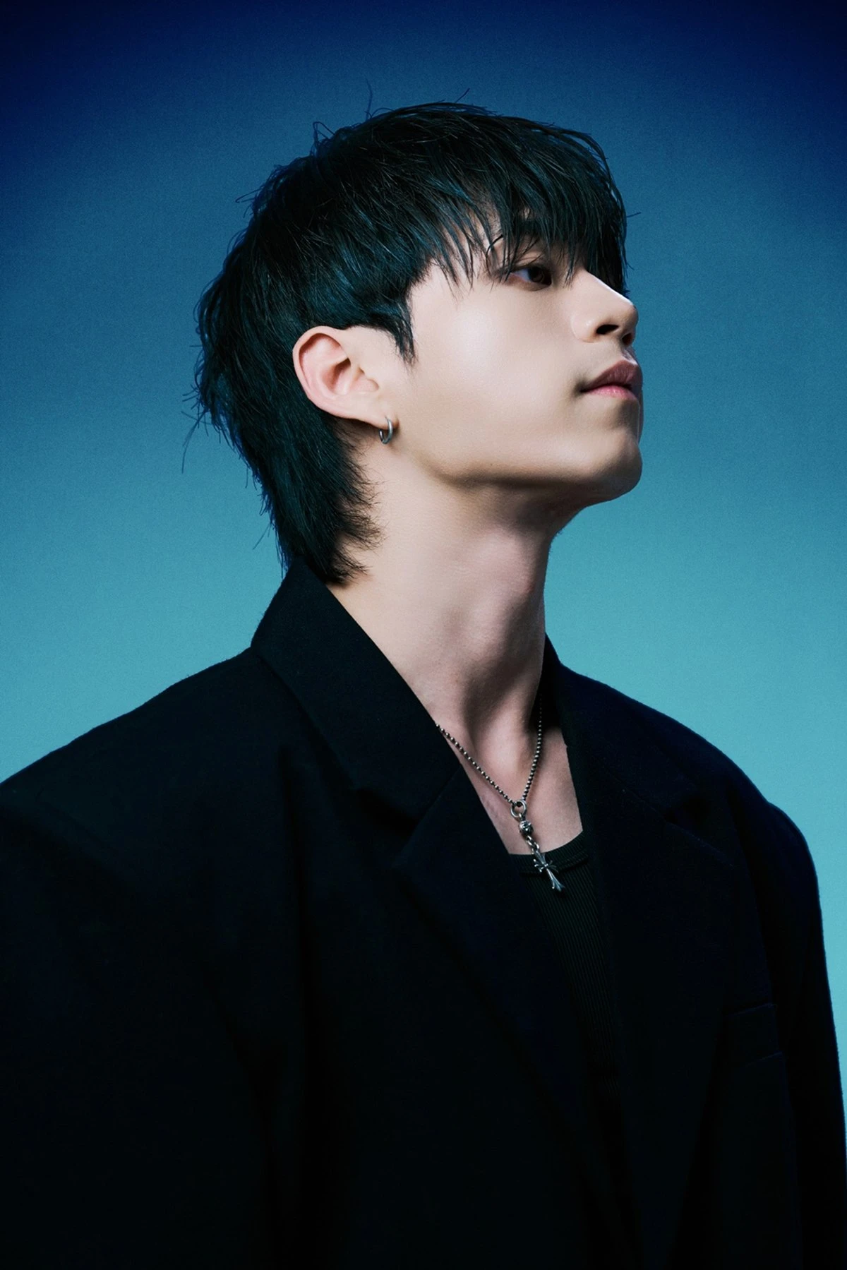 태비