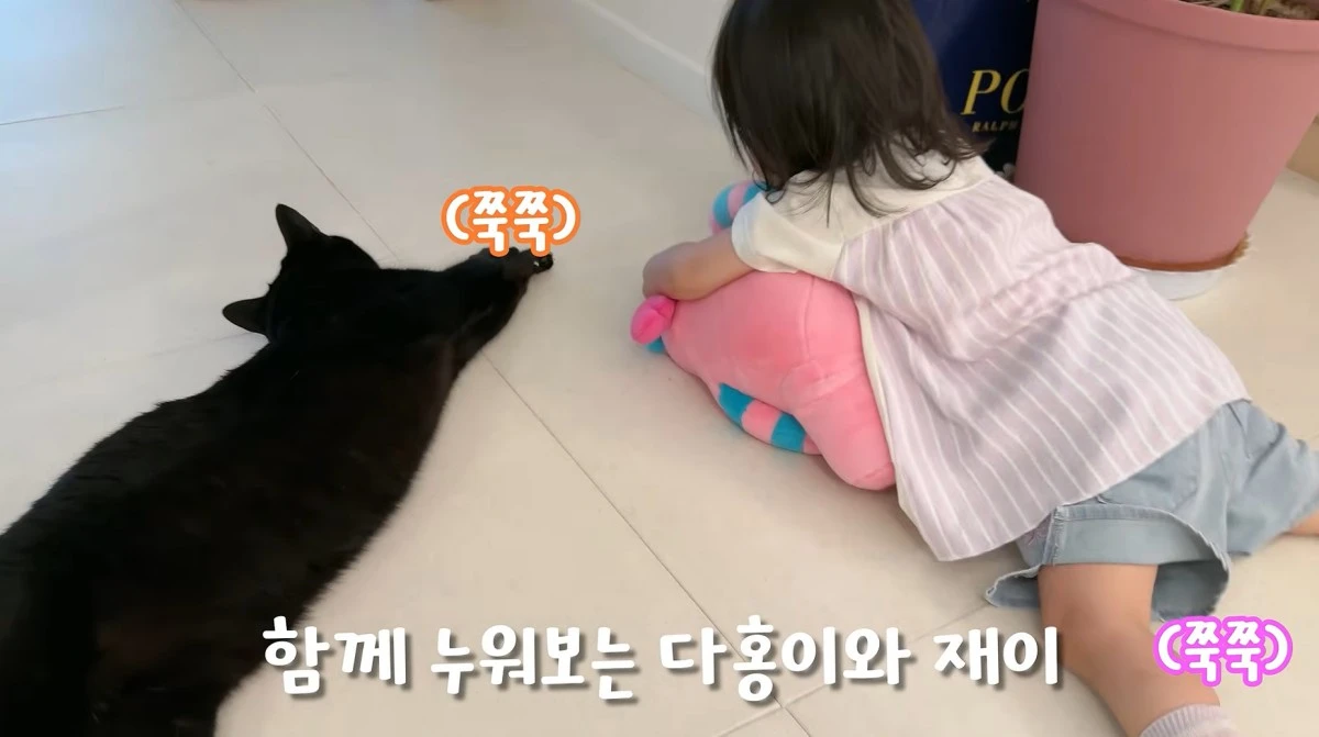 유튜브 채널 '박수홍 행복해다홍'