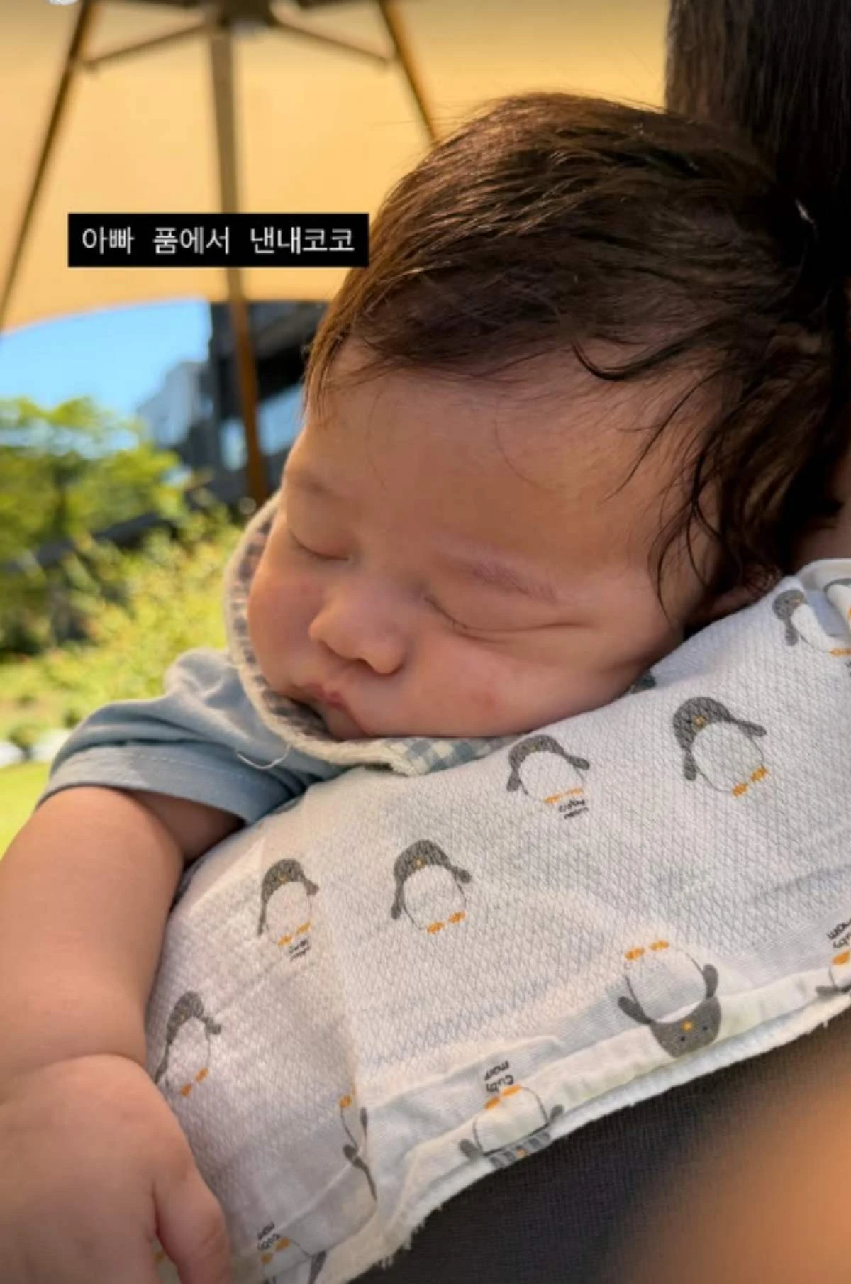 남보라 아들