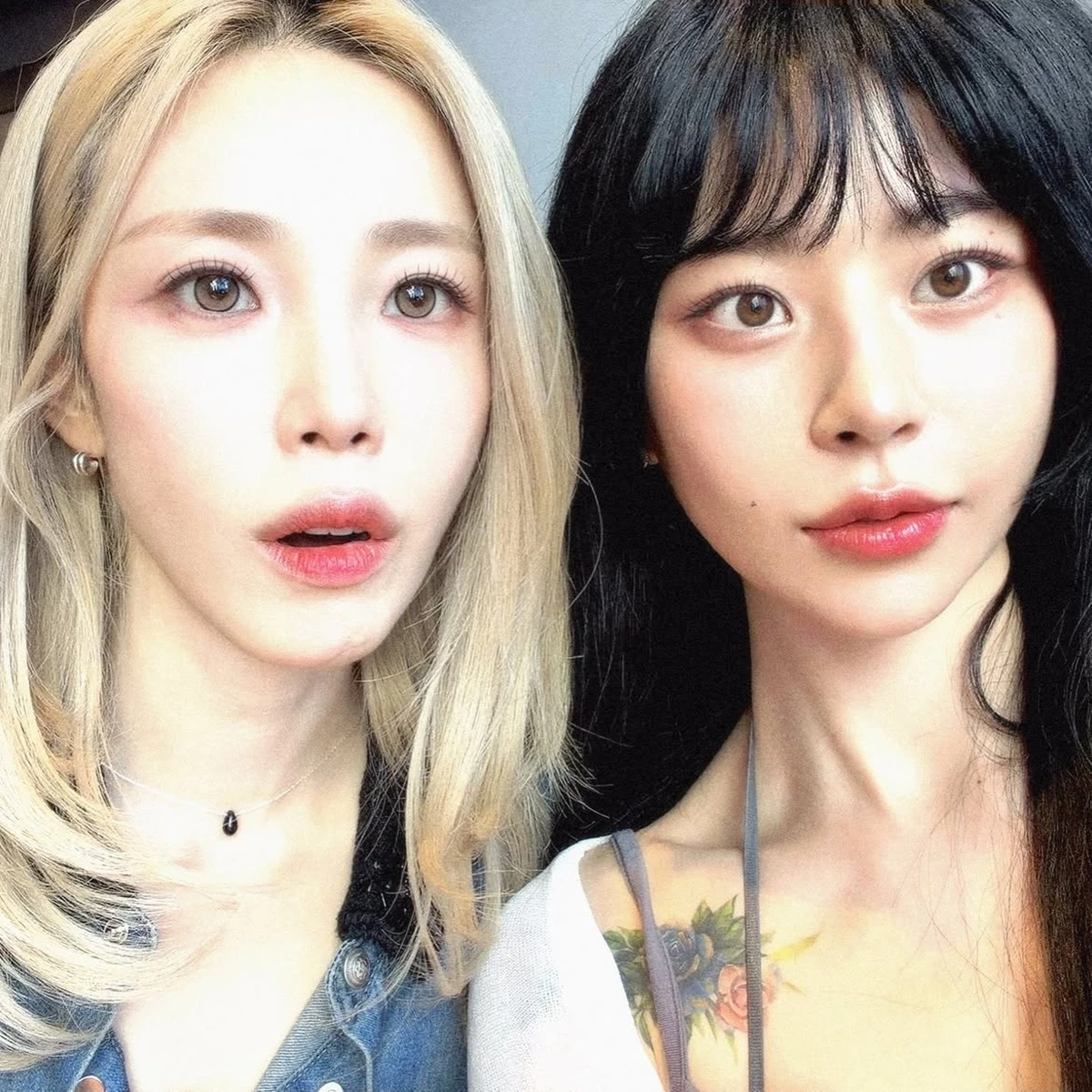노슬비 SNS