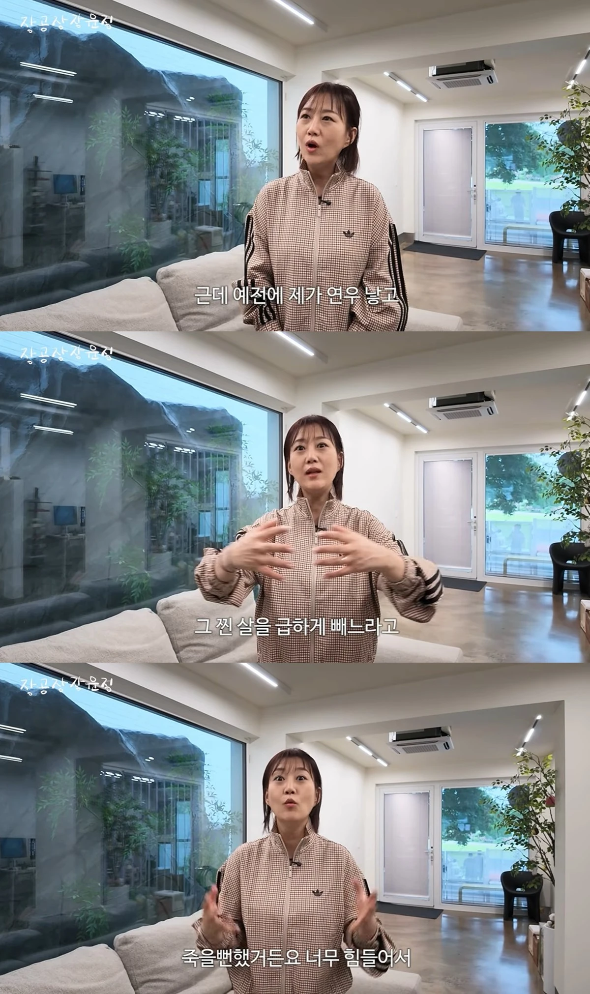 유튜브 채널 '장공장장윤정'