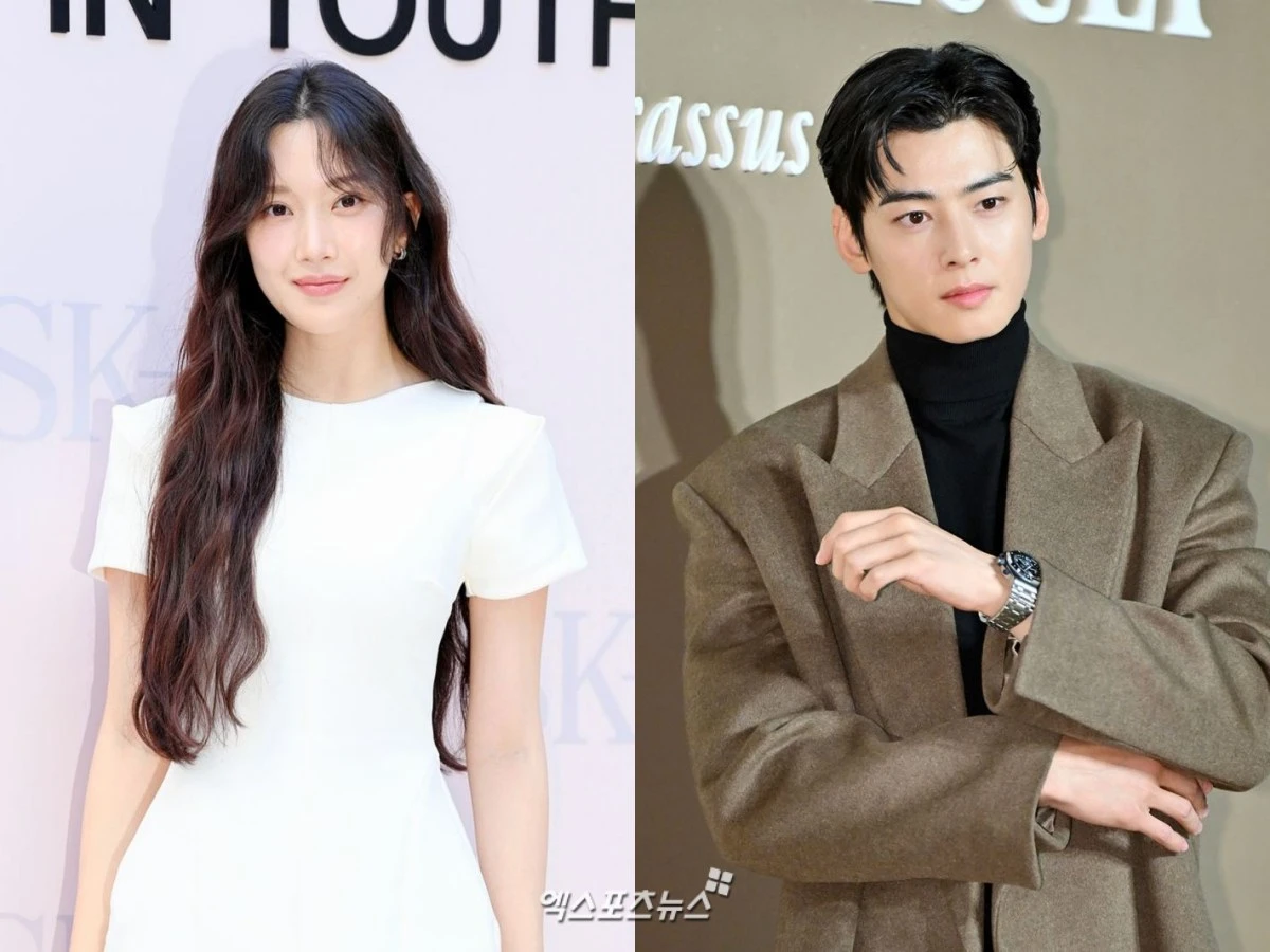문가영, 차은우