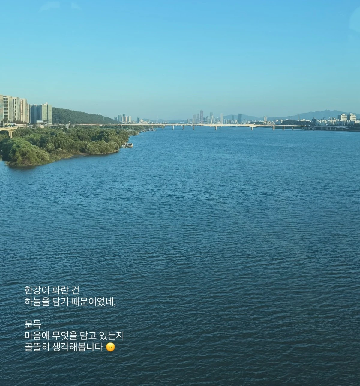 사진 = 이솔이 계정