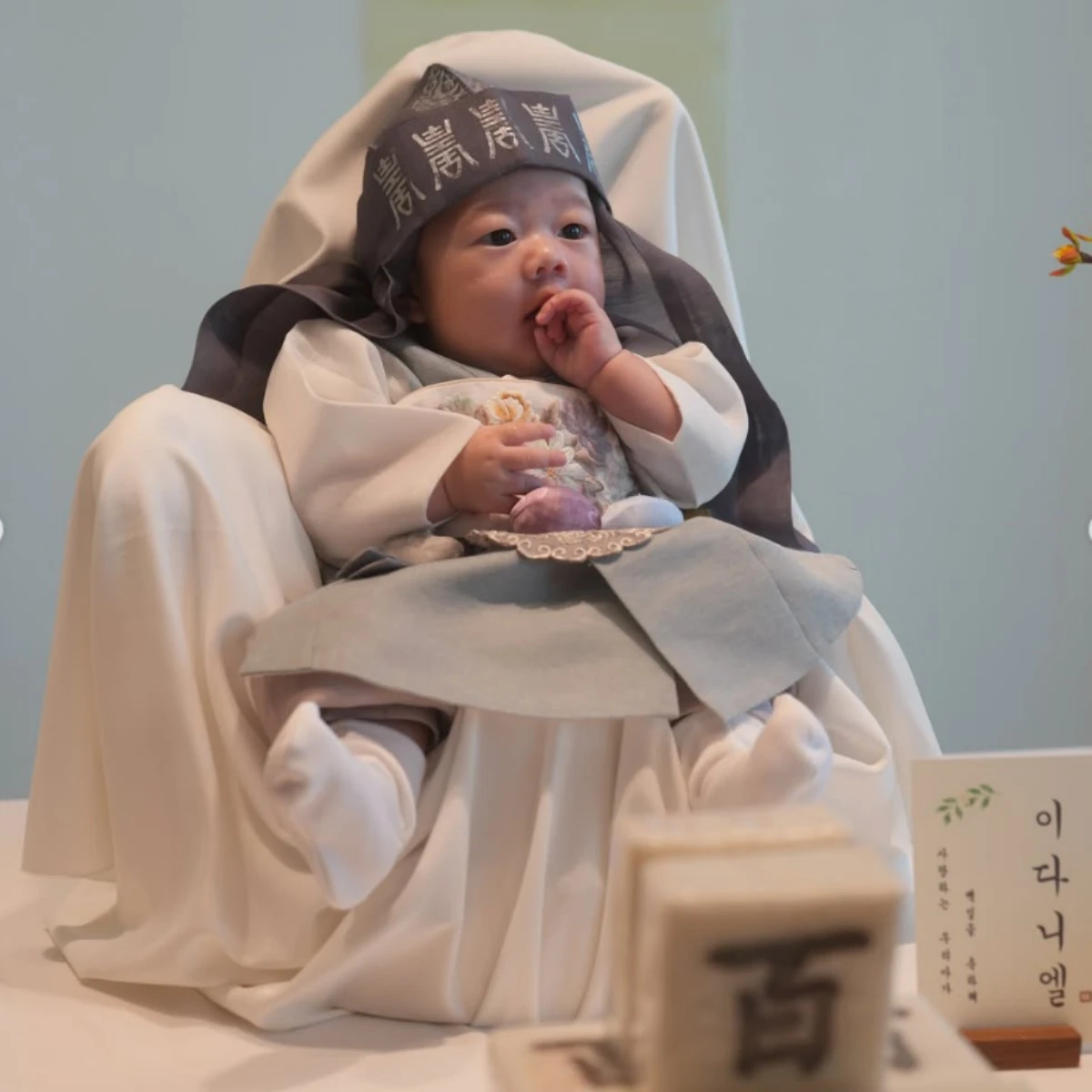 배우 남보라 아들