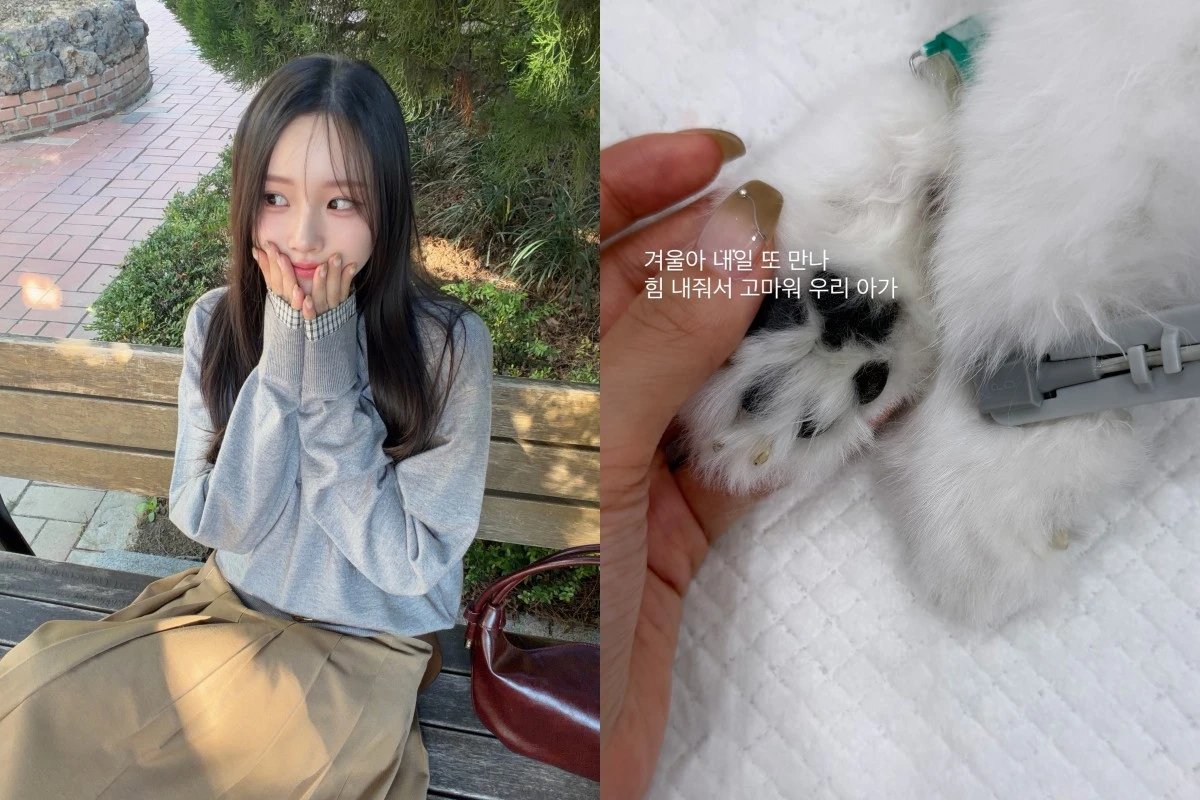 사진 = 이솔이 계정