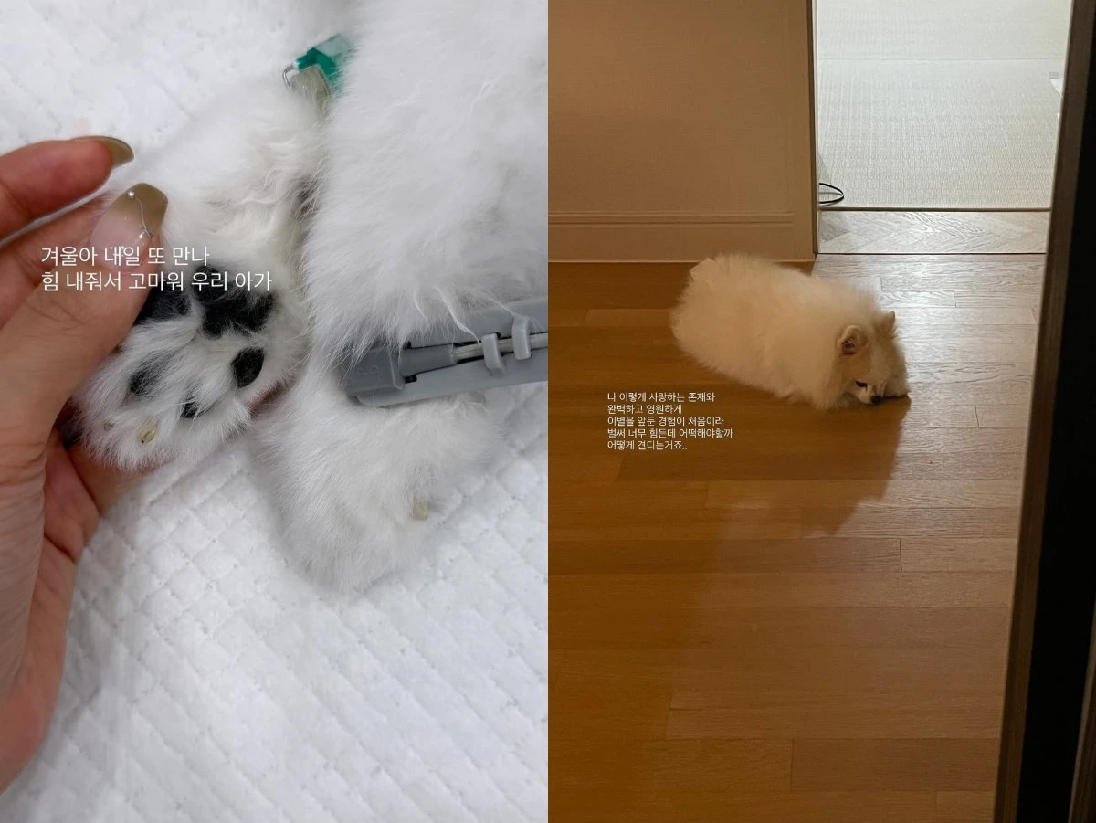 사진 = 이솔이 인스타그램