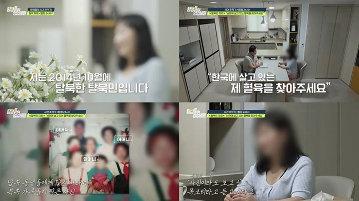 탐비