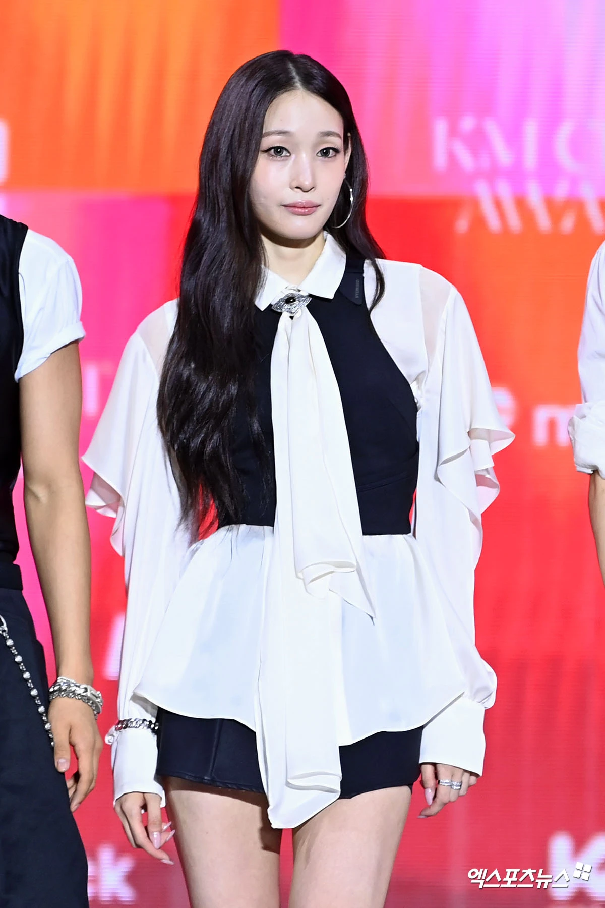 애니