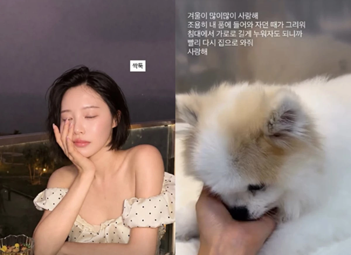 이솔이