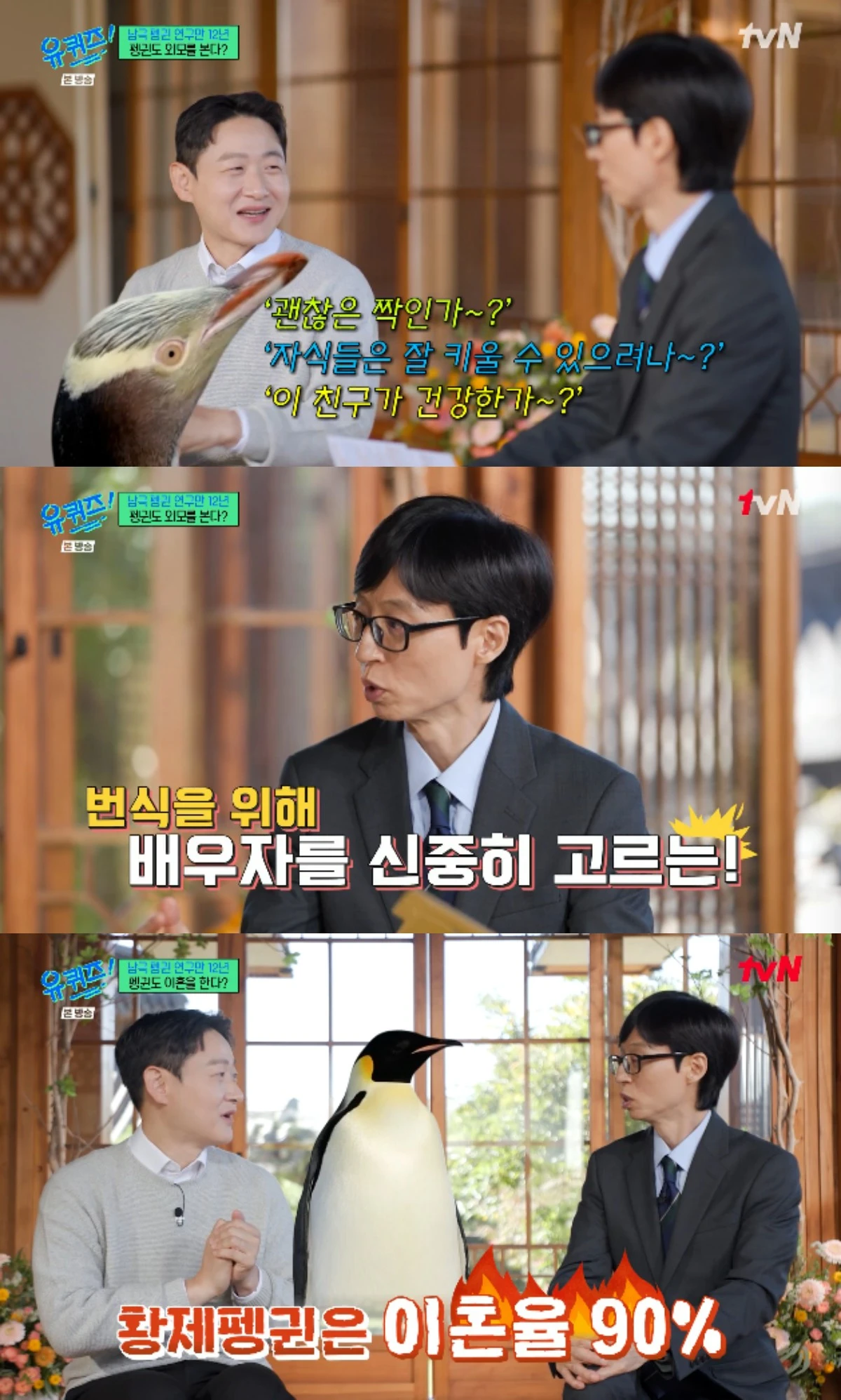 tvN 예능 프로그램 '유 퀴즈 온 더 블럭'에 출연한 '펭귄 박사' 이원영 박사