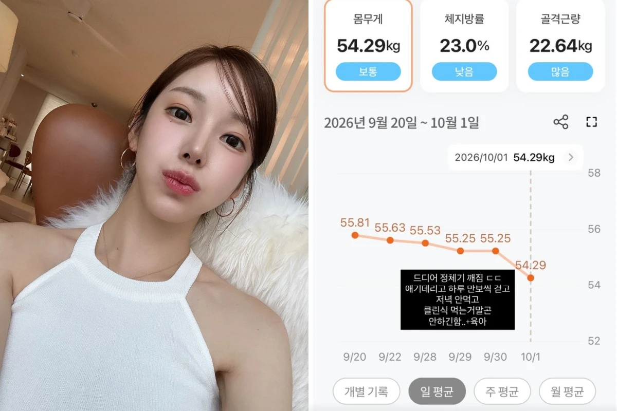 사진 = 야옹이 계정
