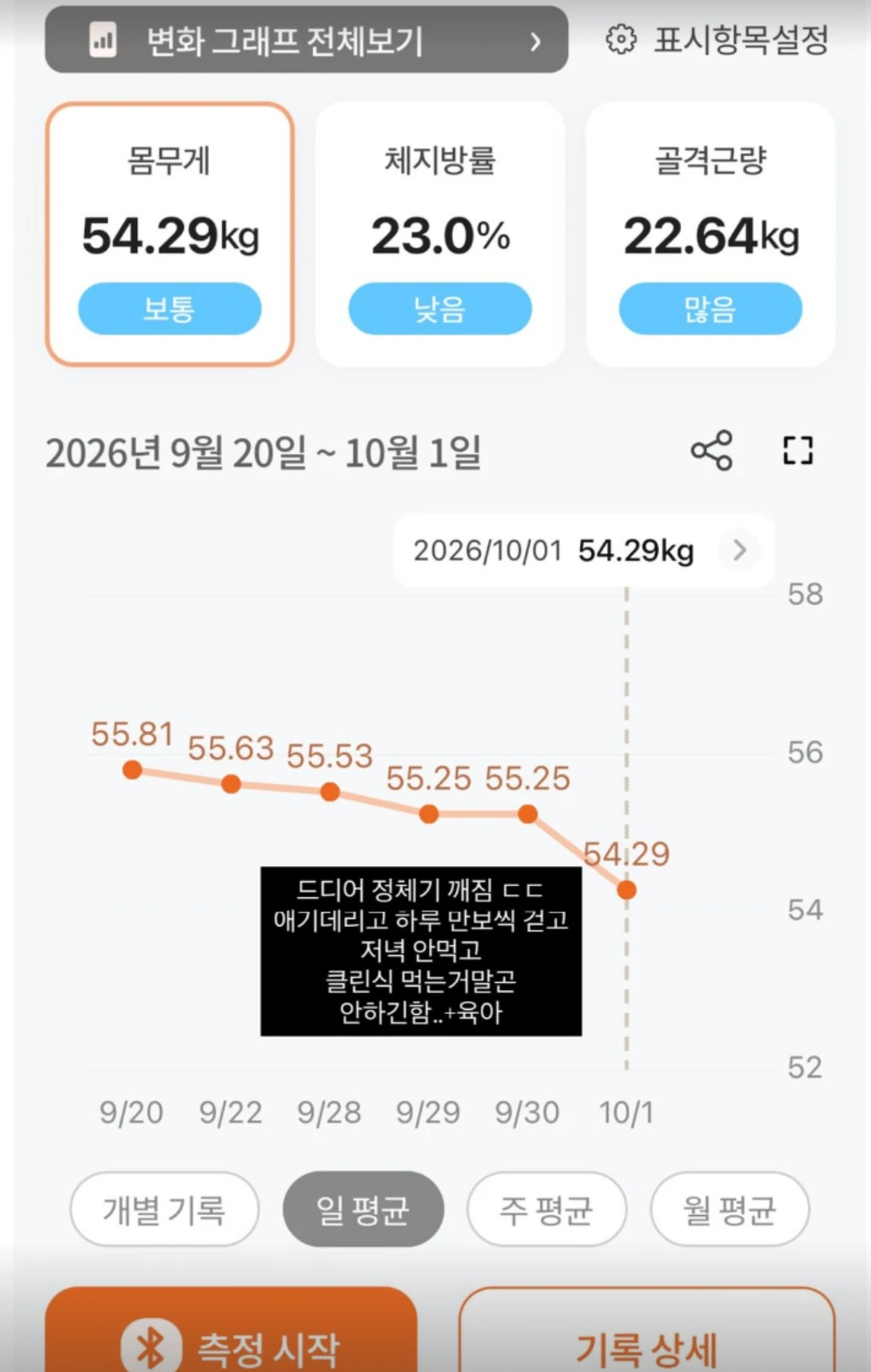 사진 = 야옹이 계정