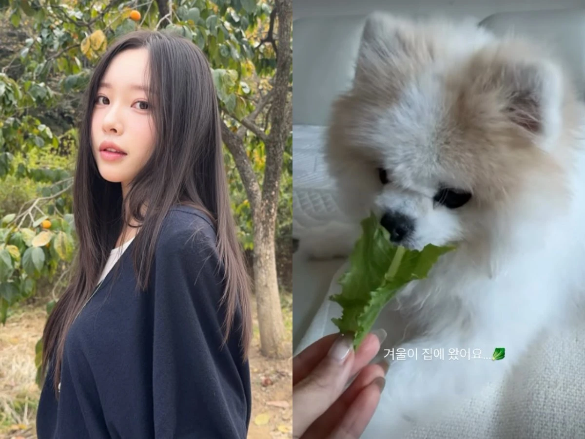 사진 = 이솔이 인스타그램