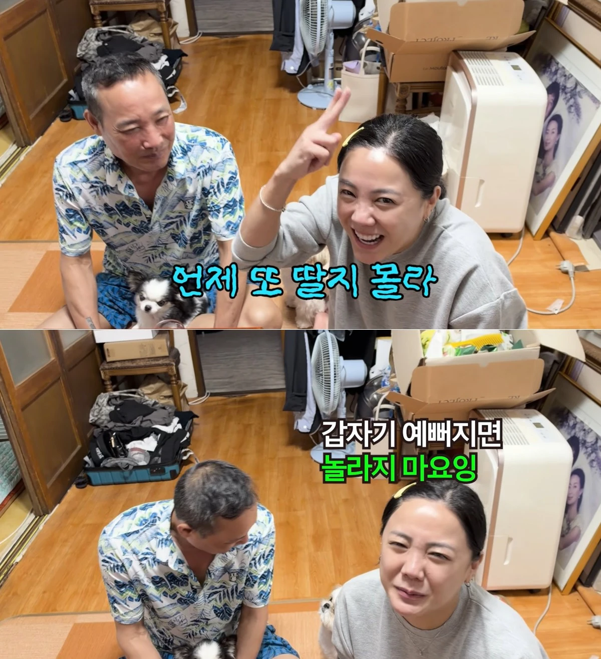 사진 = 유튜브 채널 '방가네' 