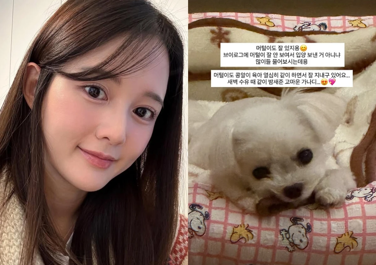 남보라