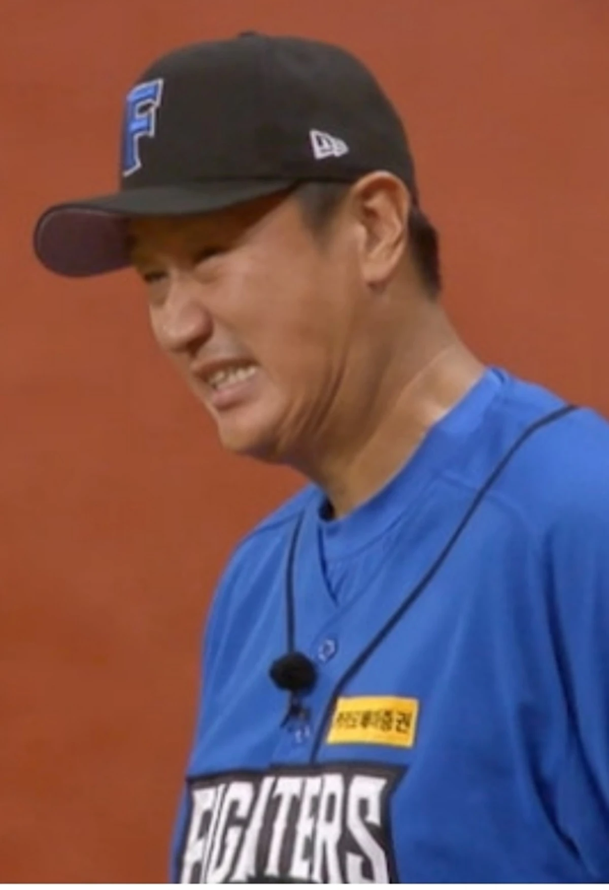 '불꽃야구2'