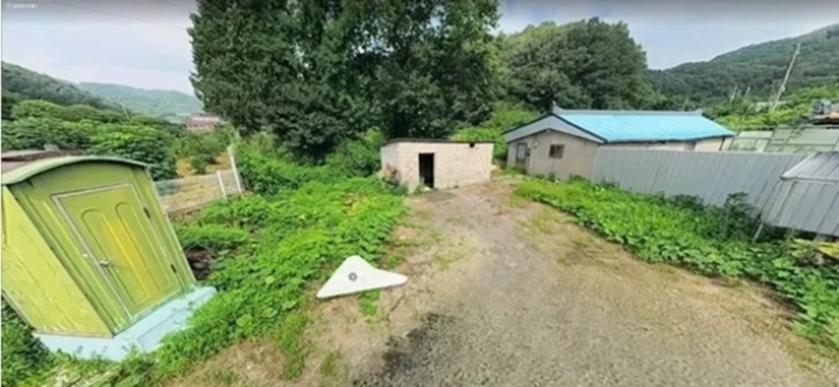 로드뷰