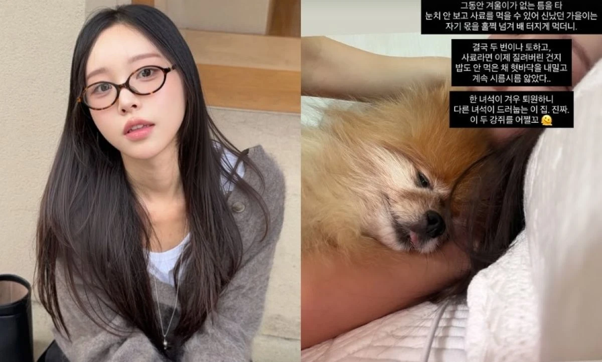 이솔이 계정