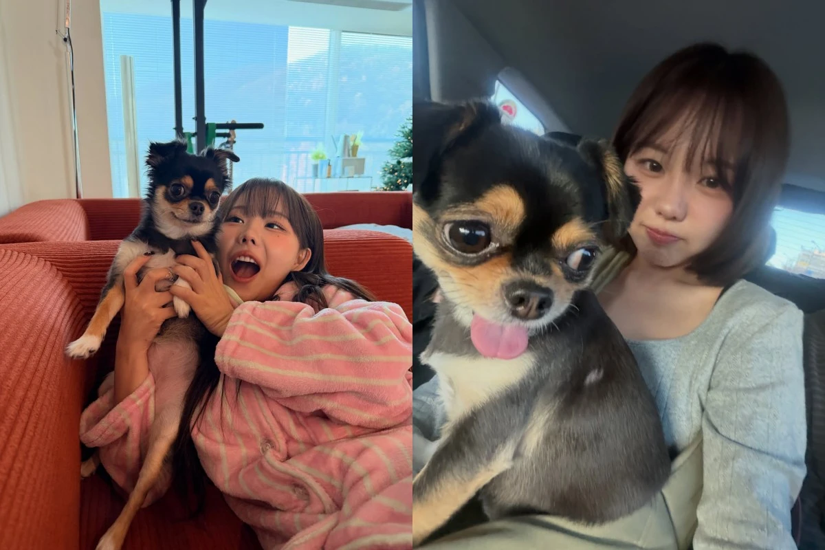 사진 = 홍영기 계정