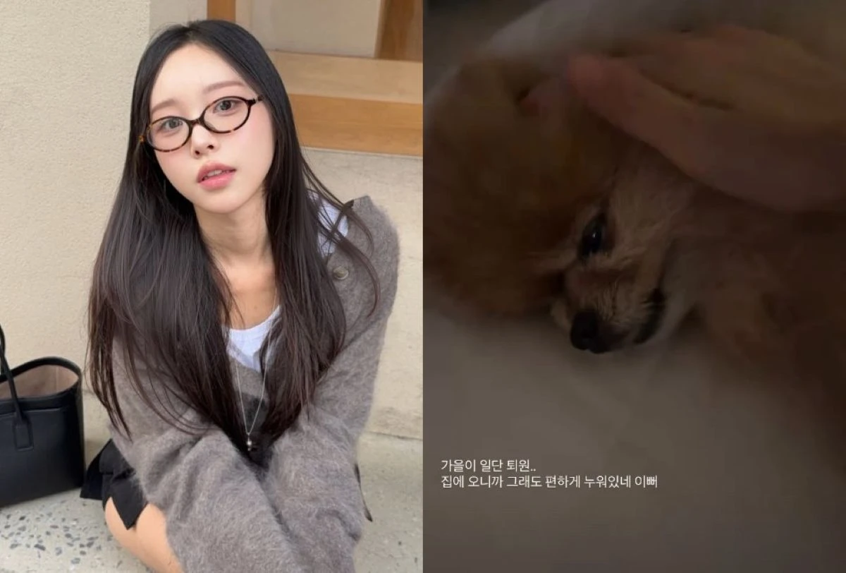 이솔이 계정