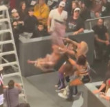 하마터면 목숨 잃을 뻔했다 WWE 미녀 스타, 머리부터 바닥에 '쾅'…전문가도 깜짝 놀란 추락 사고